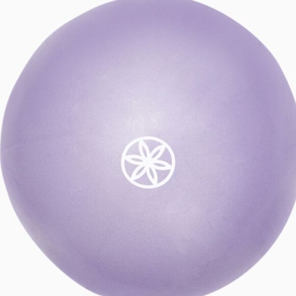 Gaiam Ultimate Core Toning Kit‎ - Picture 3 of 15